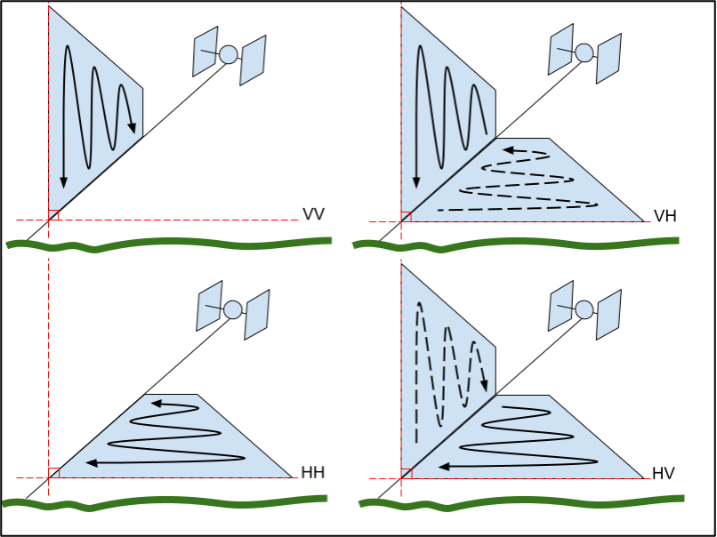 sar-backscatter-to-monitor-under-tree-cover-space4water-portal